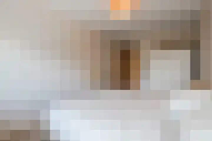 Cees Sipkeslaan 344 Diemen thumbnail 34