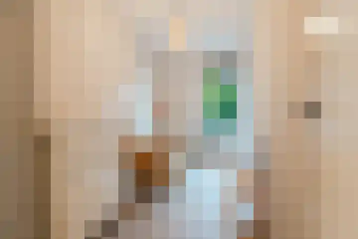 Cees Sipkeslaan 344 Diemen thumbnail 36