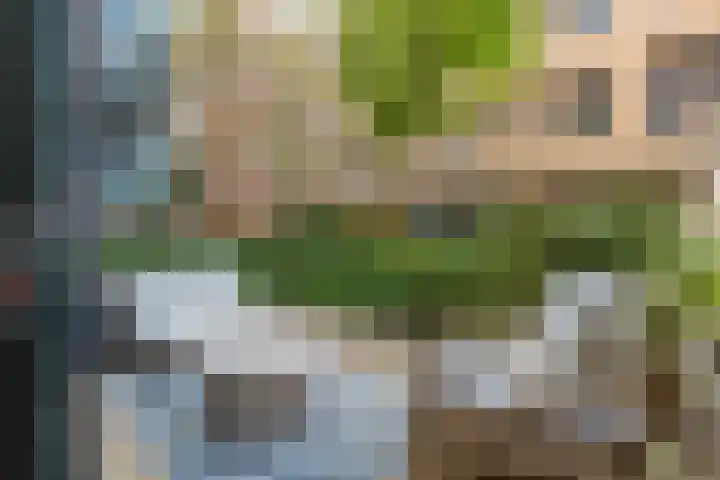 Cees Sipkeslaan 344 Diemen thumbnail 4