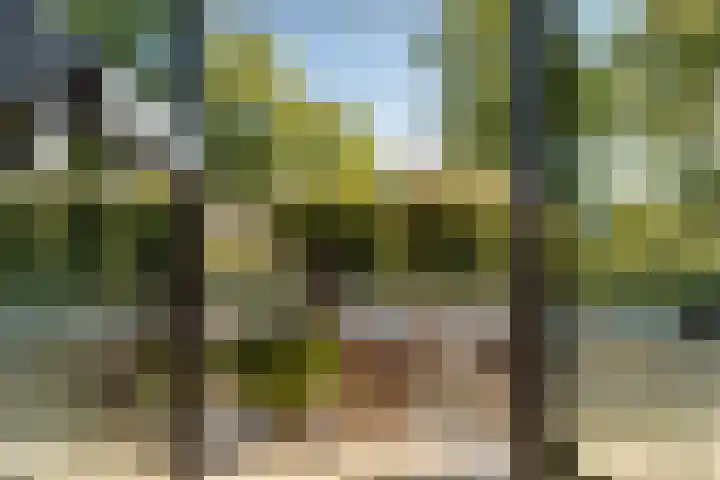 Cees Sipkeslaan 344 Diemen thumbnail 45