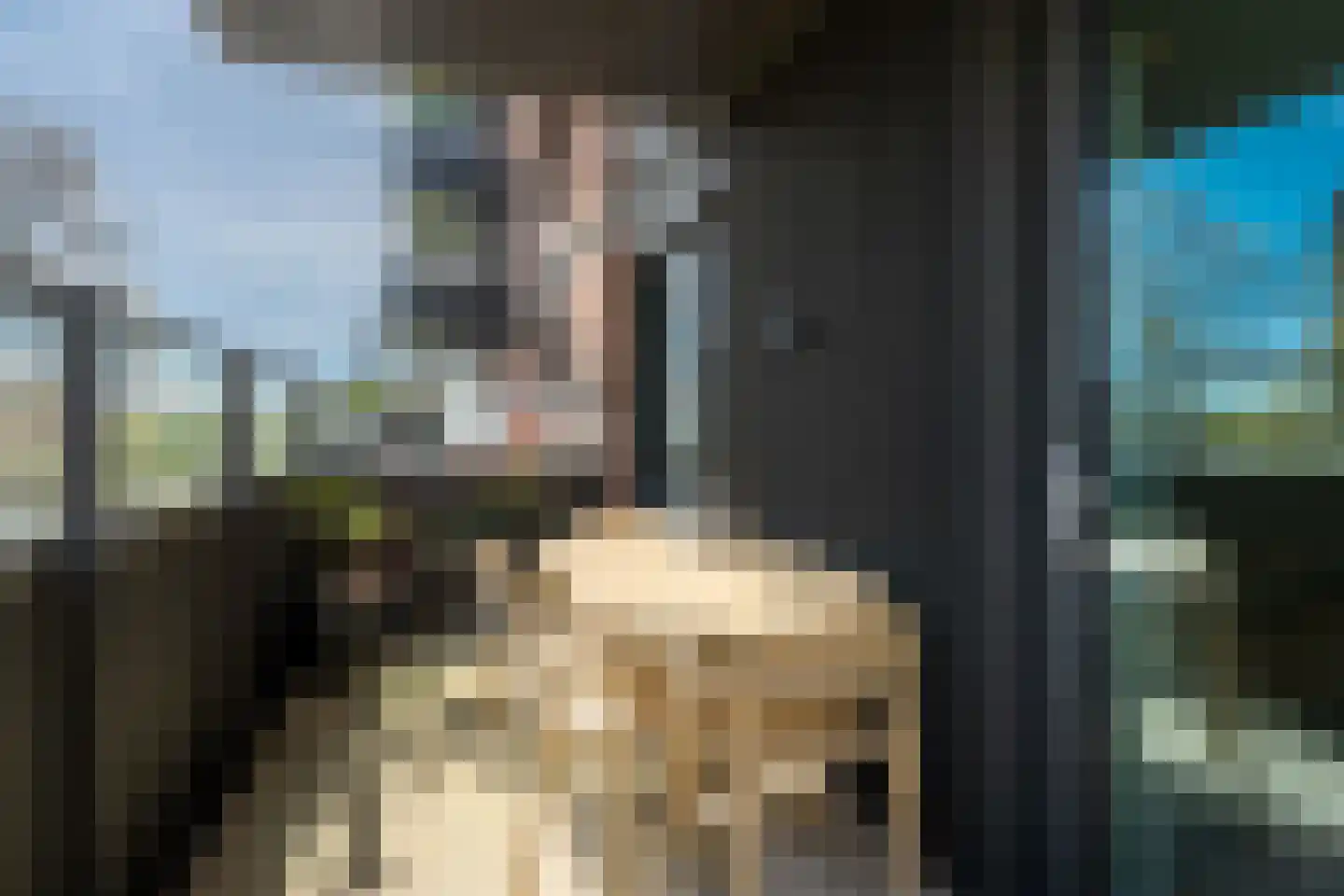 Cees Sipkeslaan 352 Diemen thumbnail 26