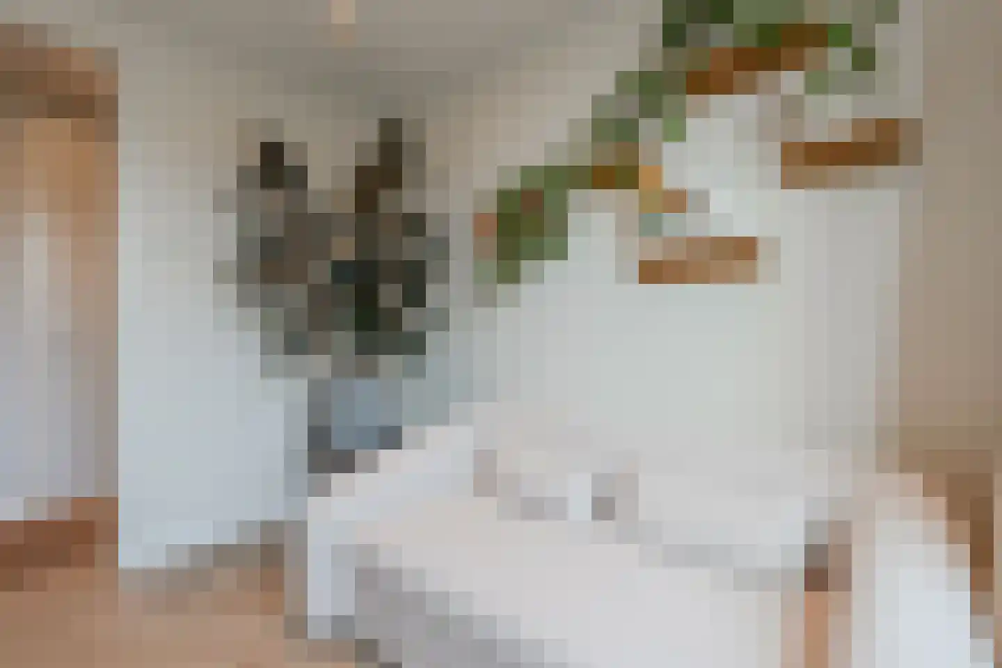 Cees Sipkeslaan 352 Diemen thumbnail 31
