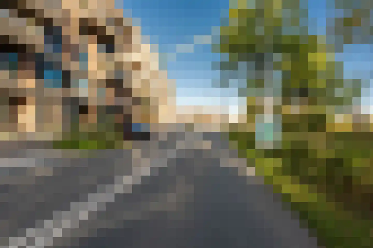 Cees Sipkeslaan 352 Diemen thumbnail 43