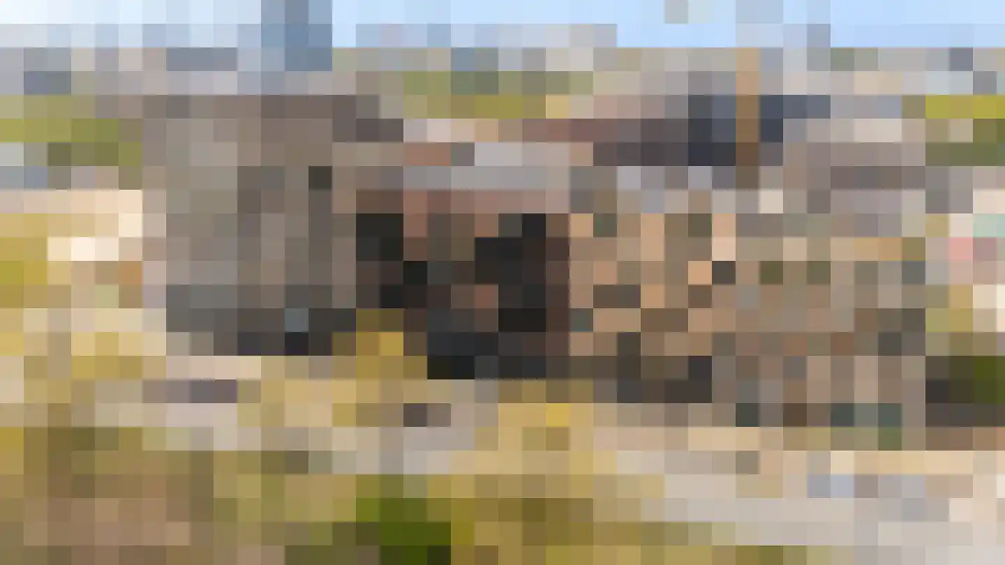 Cees Sipkeslaan 352 Diemen thumbnail 6