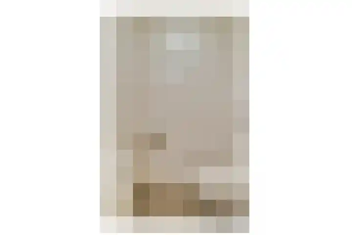 Cees Sipkeslaan 372 Diemen thumbnail 25