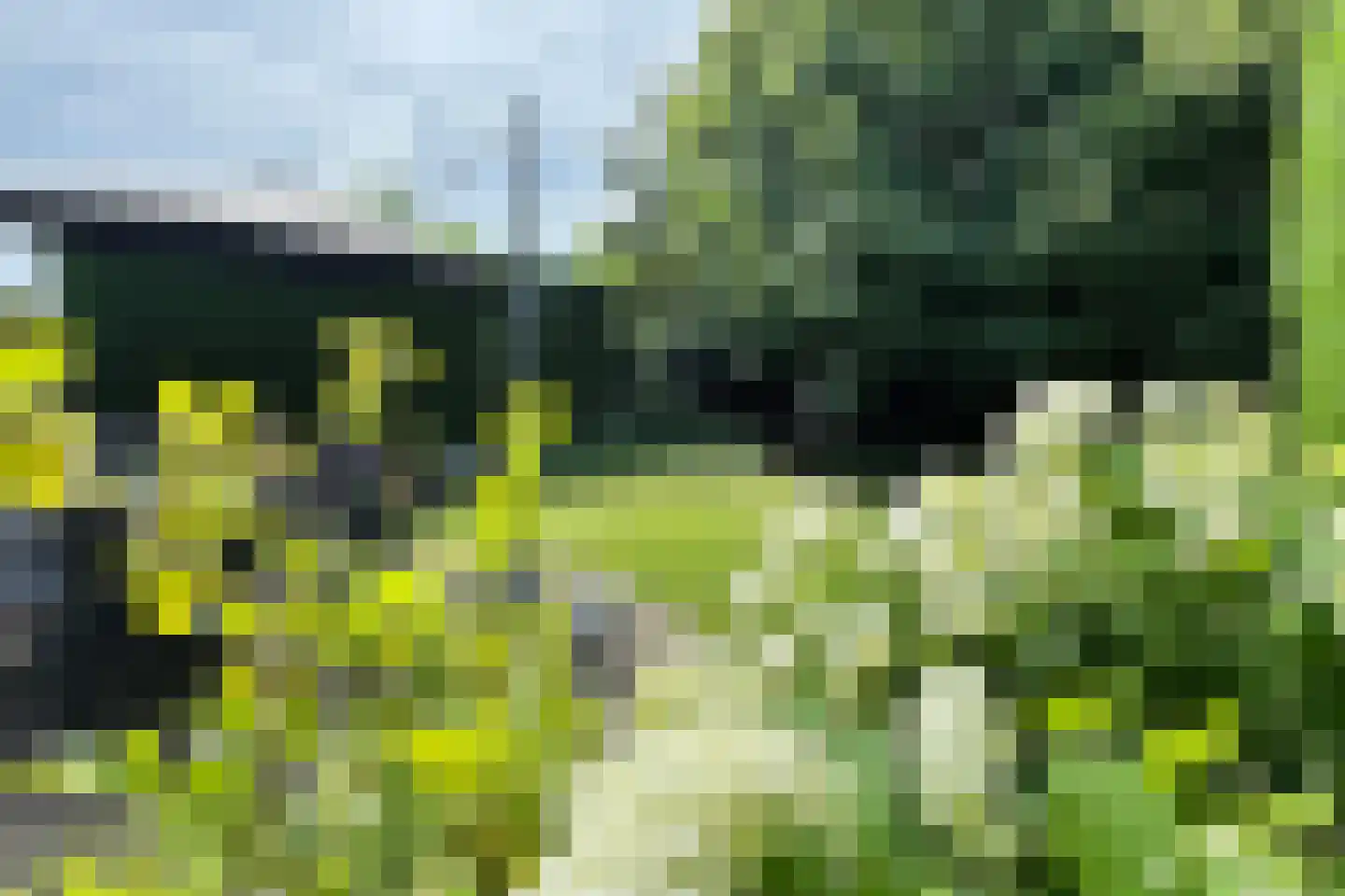 Cees van Gendlaan 17 Willemstad thumbnail 58