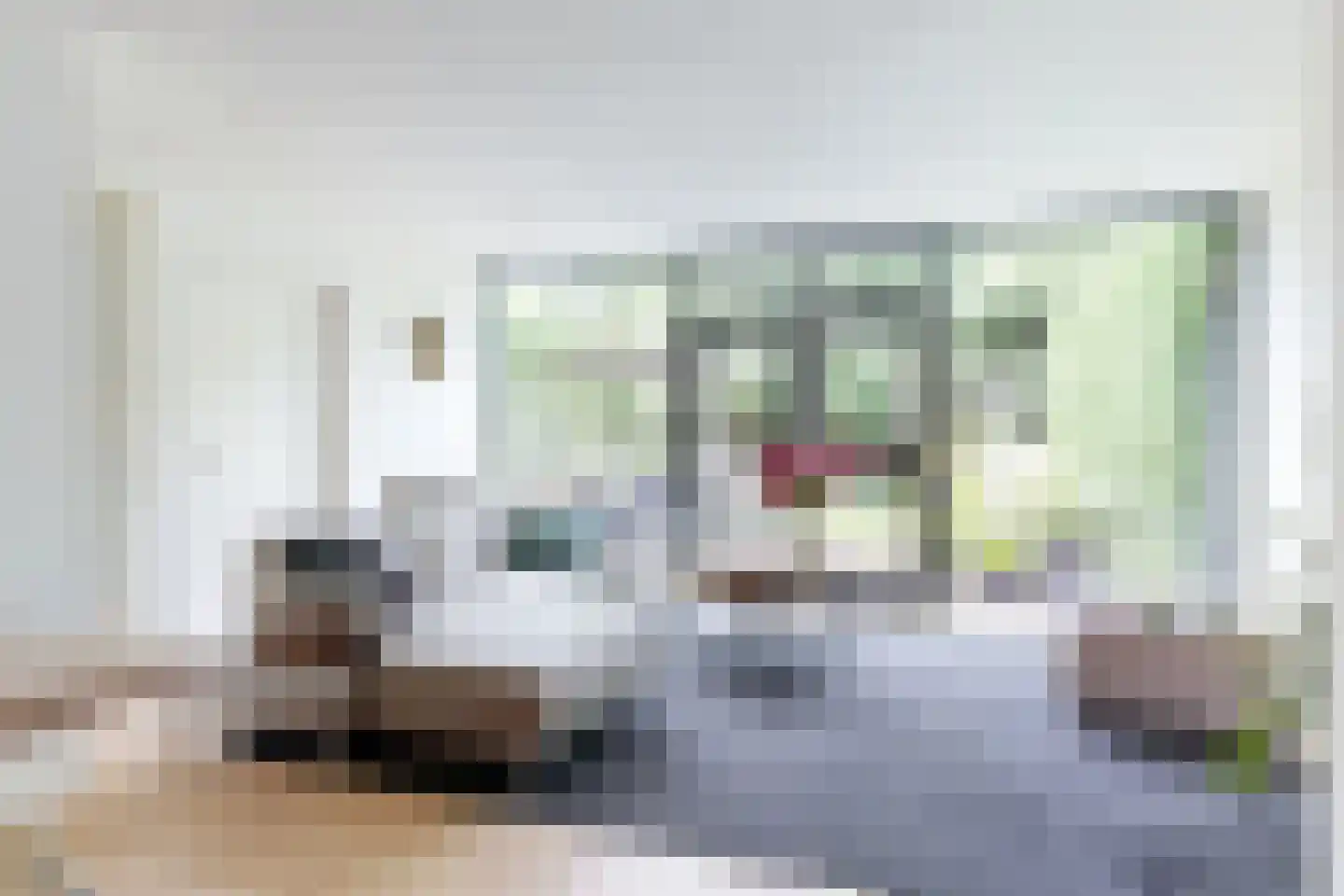 Cees van Gendlaan 17 Willemstad thumbnail 9