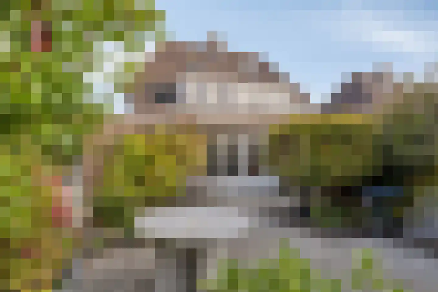 Cees van Gendlaan 7 Willemstad thumbnail 41
