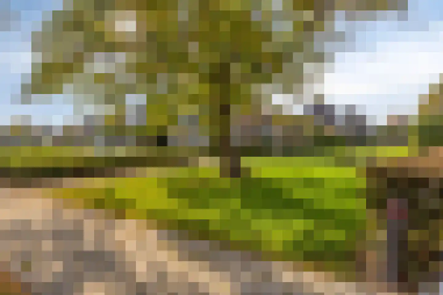 Cees van Gendlaan 7 Willemstad thumbnail 44