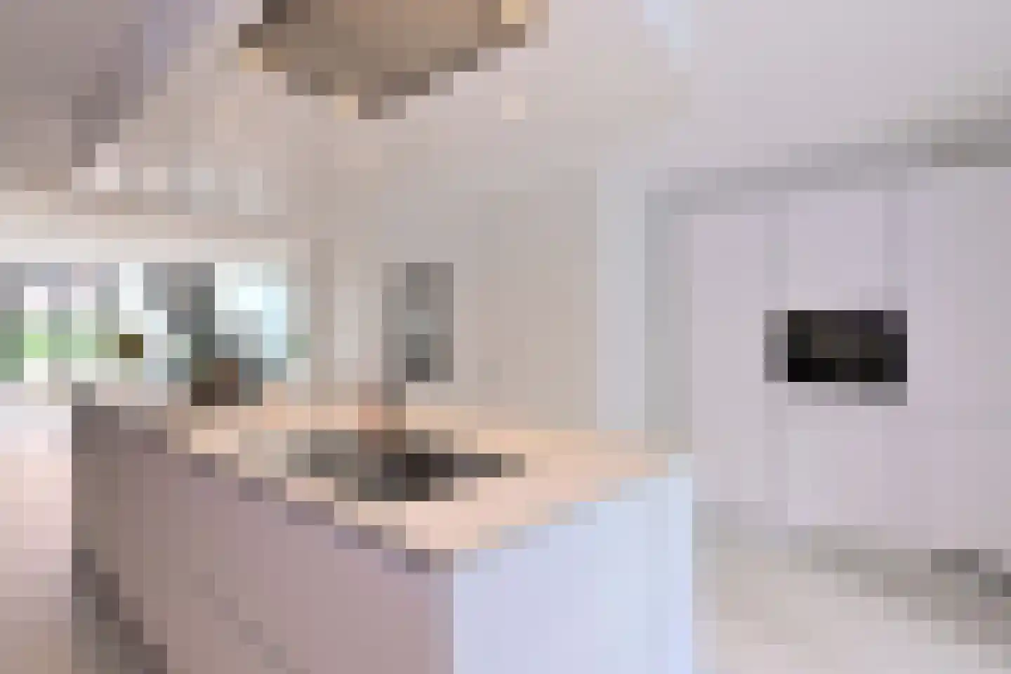 Ceintuurbaan 1 H Deventer thumbnail 10