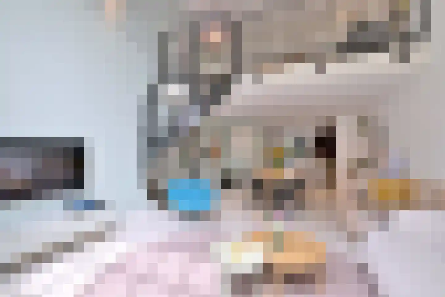 Ceintuurbaan 1 H Deventer thumbnail 17