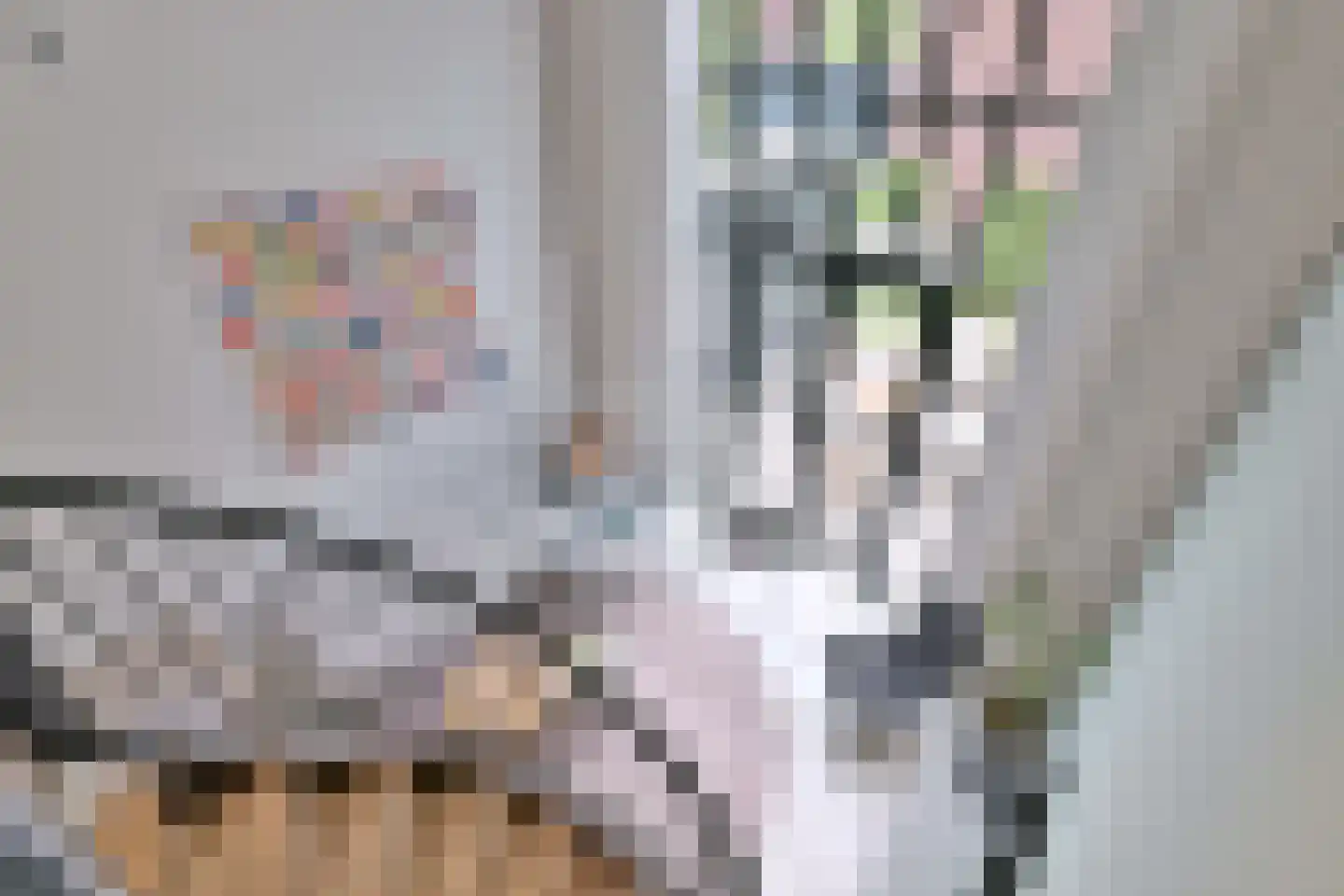 Ceintuurbaan 1 H Deventer thumbnail 21