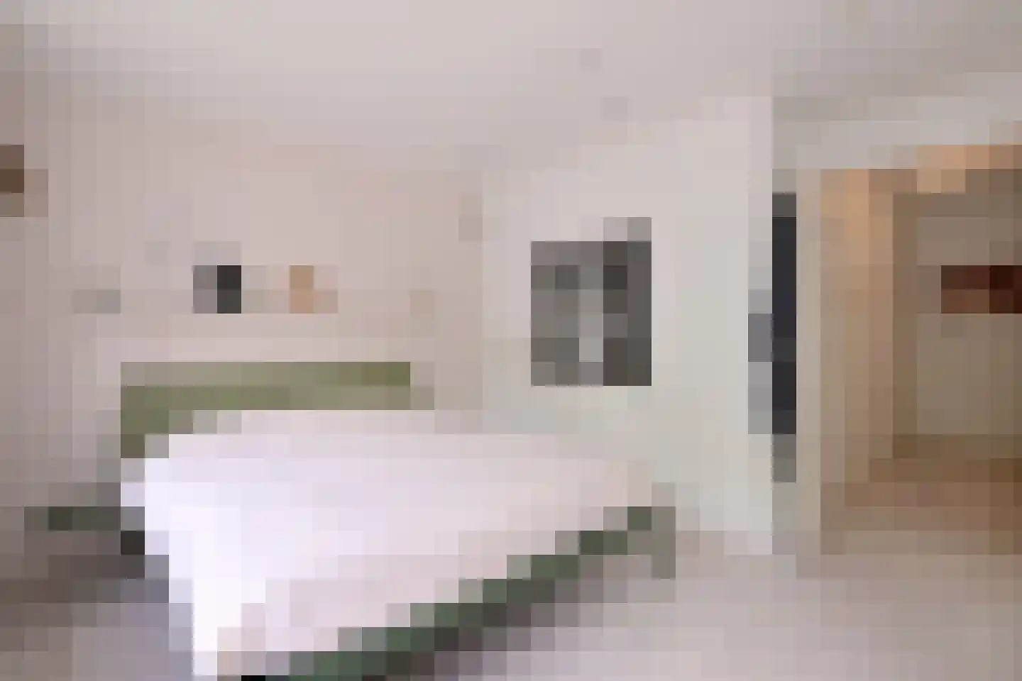 Ceintuurbaan 1 H Deventer thumbnail 24