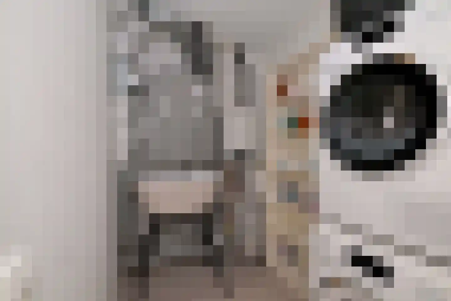 Ceintuurbaan 1 H Deventer thumbnail 27