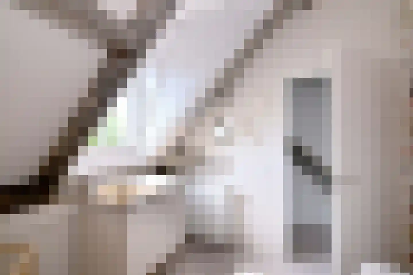 Ceintuurbaan 1 H Deventer thumbnail 33