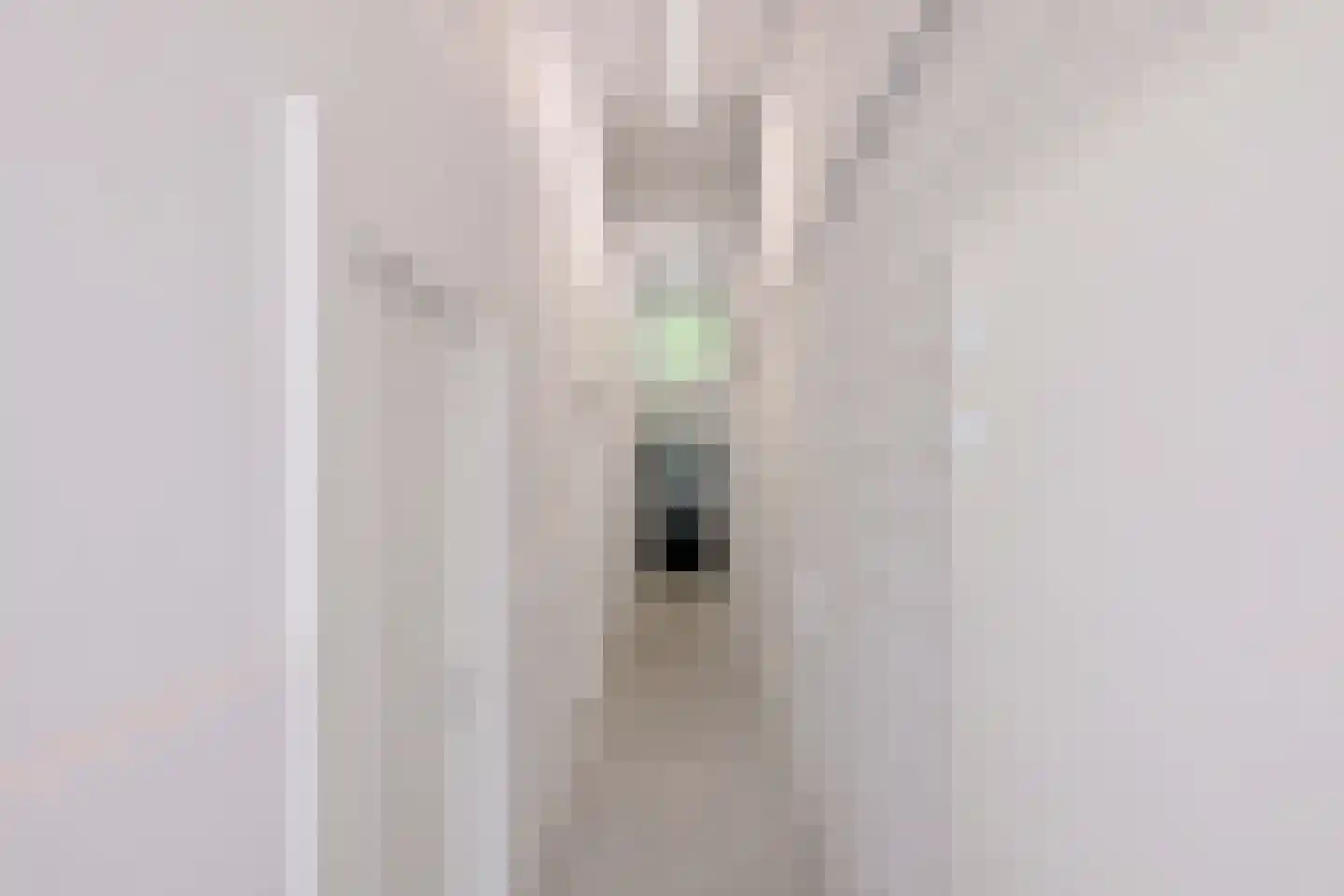 Ceintuurbaan 1 H Deventer thumbnail 37