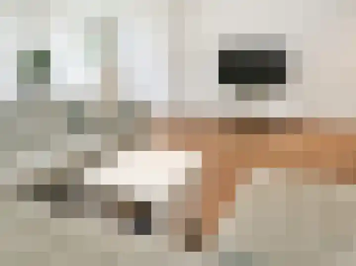 Ceintuurbaan 1 Haarlem thumbnail 12