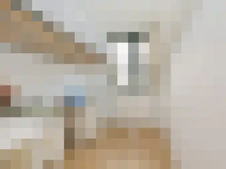 Ceintuurbaan 1 Haarlem thumbnail 33