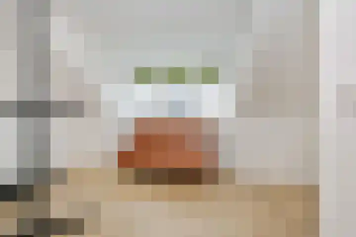 Ceintuurbaan 1 Haarlem thumbnail 42