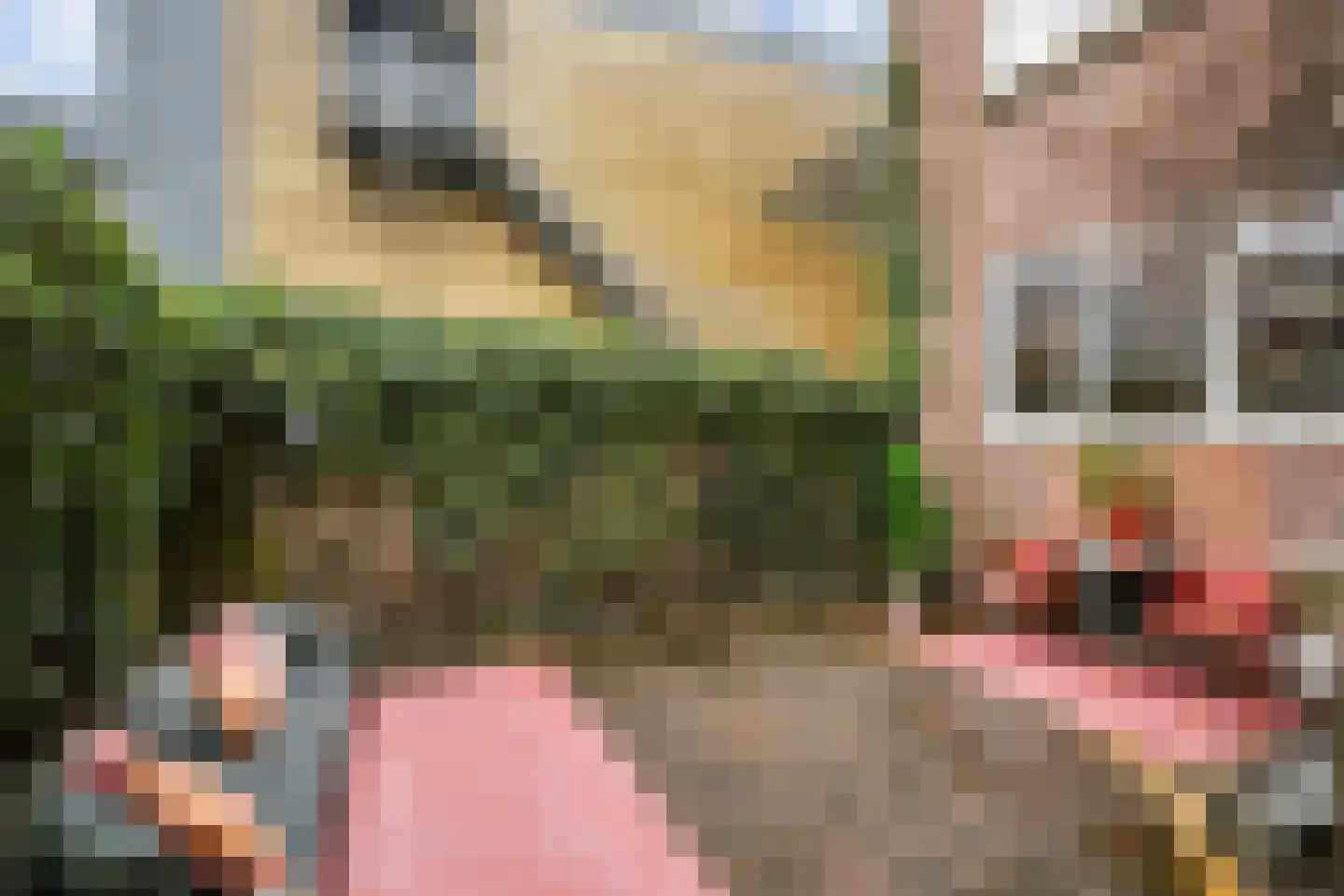 Ceintuurbaan 10 A Rotterdam thumbnail 27