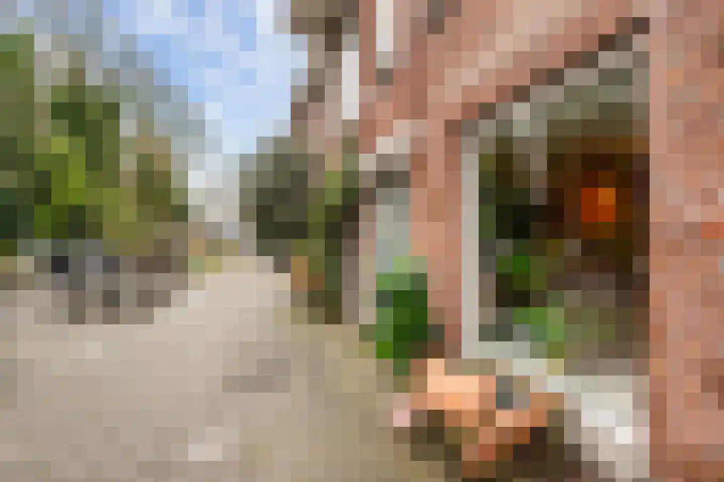 Ceintuurbaan 10 A Rotterdam thumbnail 28
