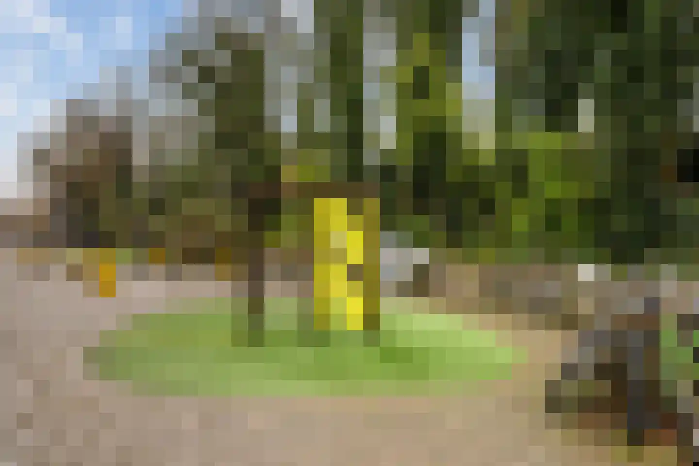 Ceintuurbaan 10 B Rotterdam thumbnail 31