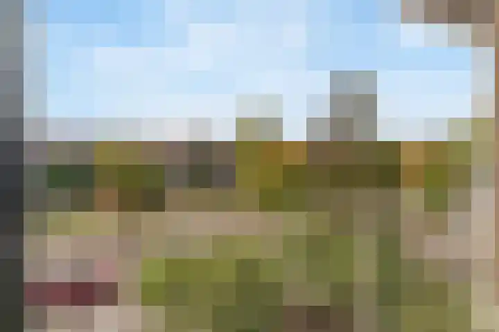 Ceintuurbaan 107 II Bussum thumbnail 14