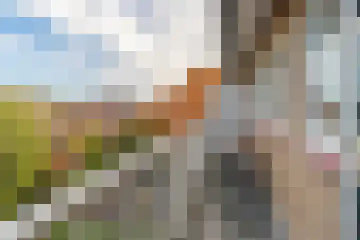 Ceintuurbaan 107 II Bussum thumbnail 18