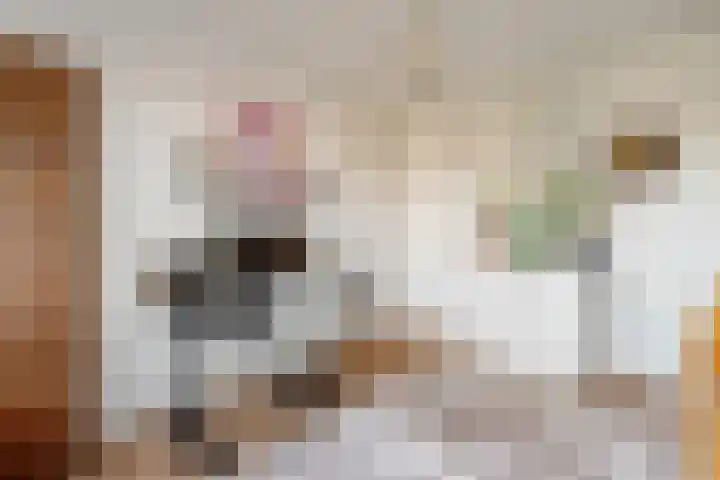 Ceintuurbaan 107 II Bussum thumbnail 22