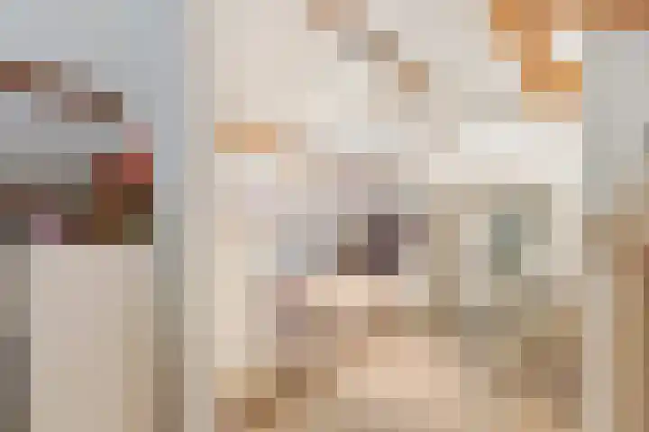 Ceintuurbaan 107 II Bussum thumbnail 27