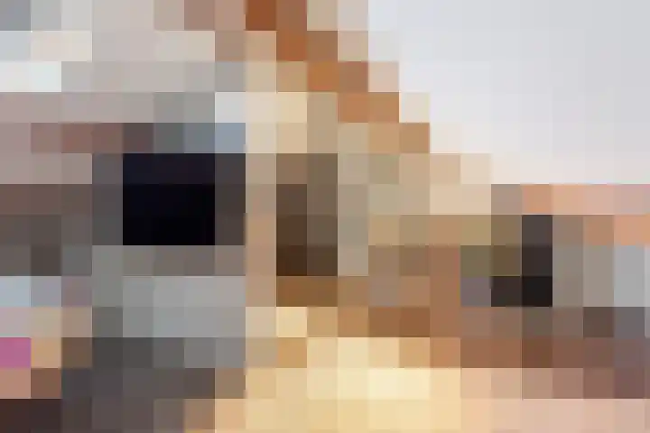 Ceintuurbaan 107 II Bussum thumbnail 29