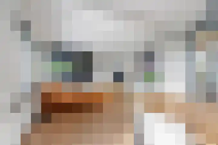 Ceintuurbaan 107 II Bussum thumbnail 5