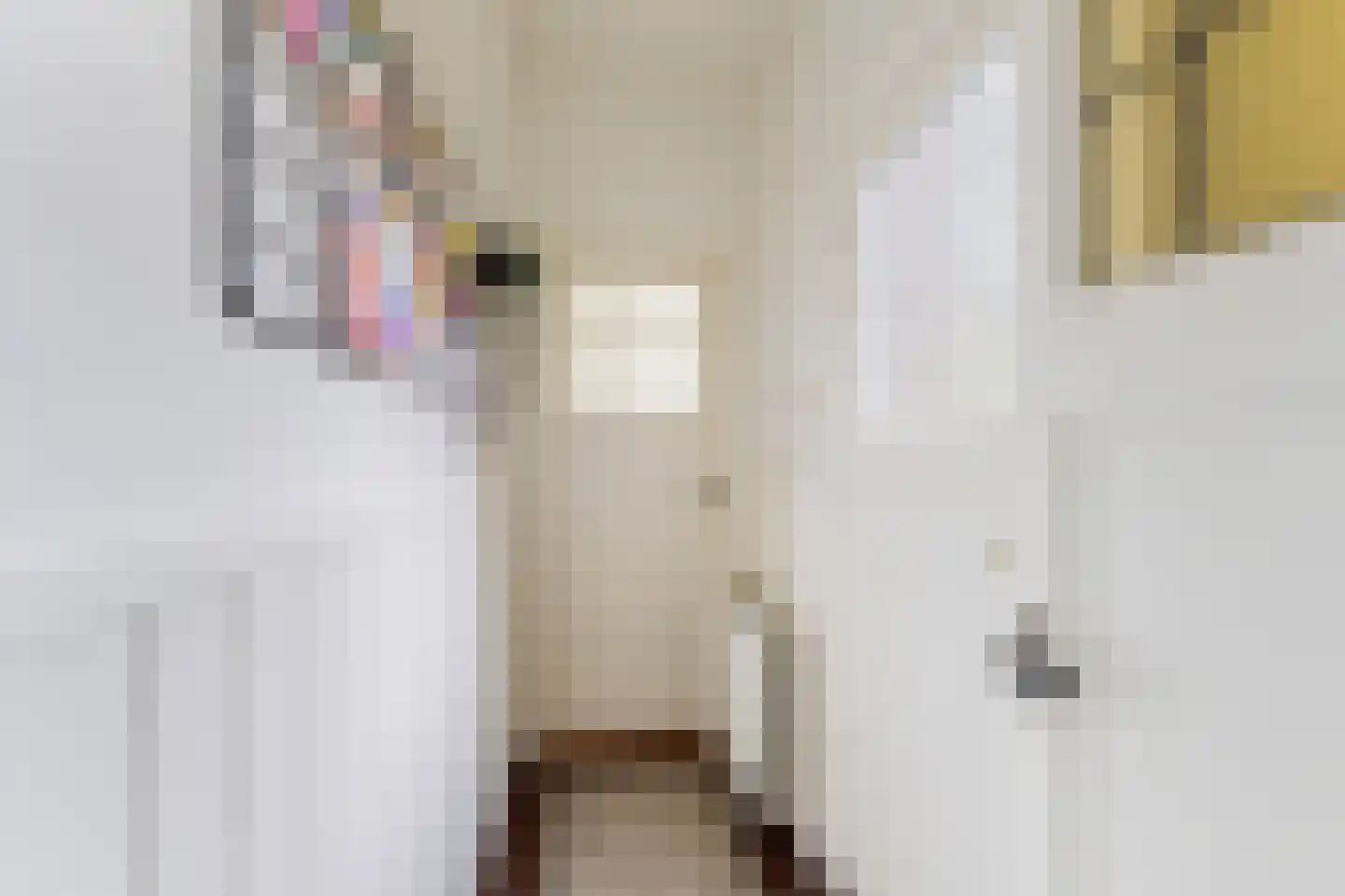 Ceintuurbaan 12 a Huizen thumbnail 20