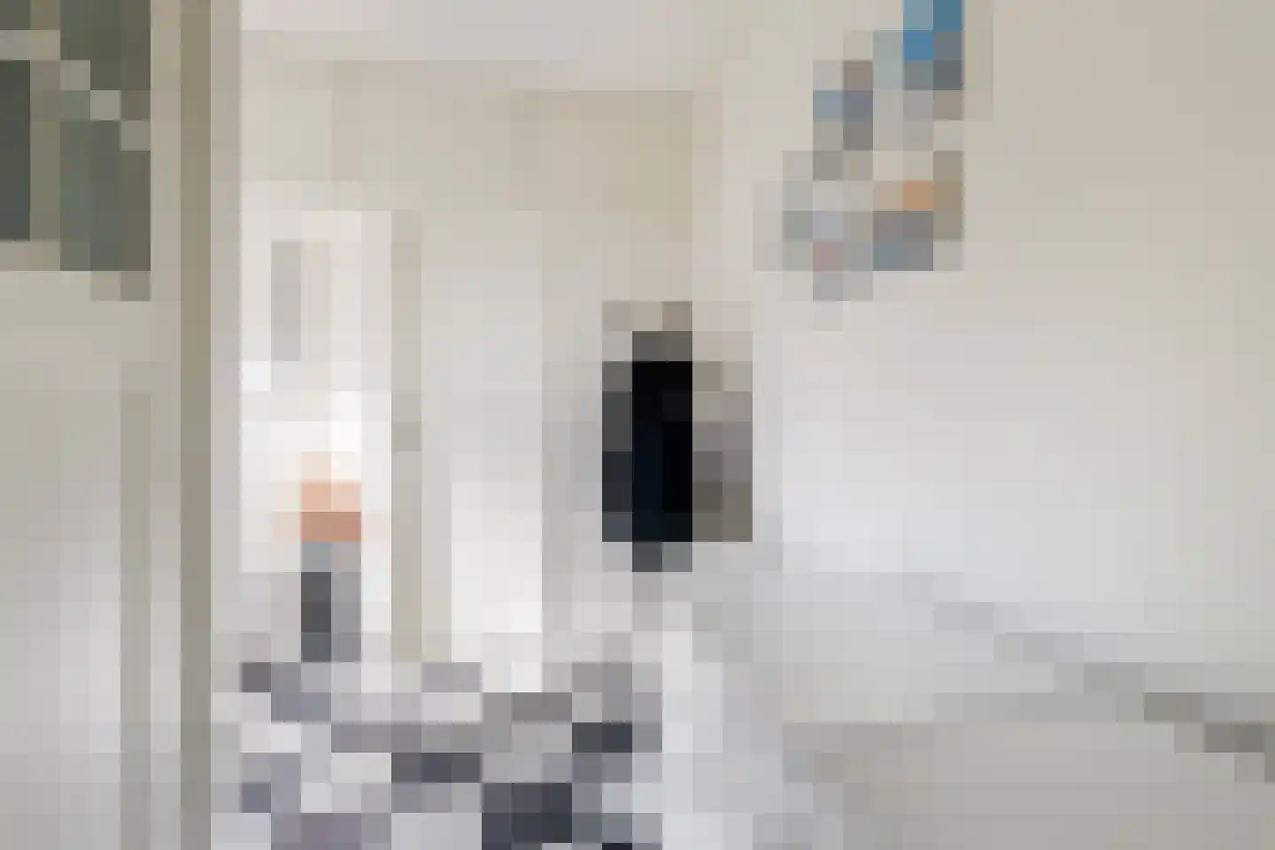 Ceintuurbaan 12 a Huizen thumbnail 23