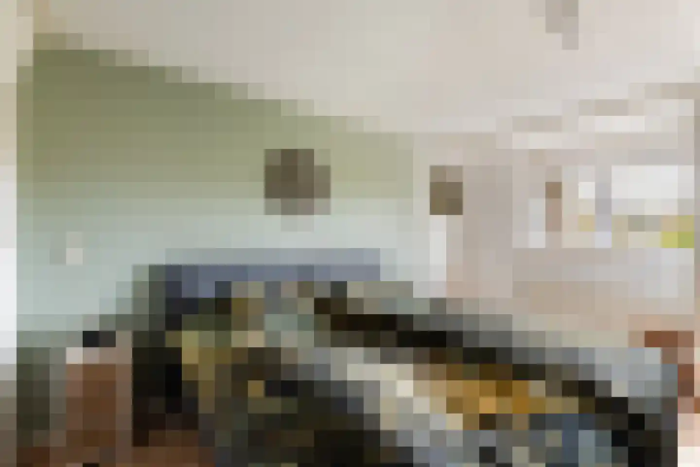 Ceintuurbaan 12 a Huizen thumbnail 30