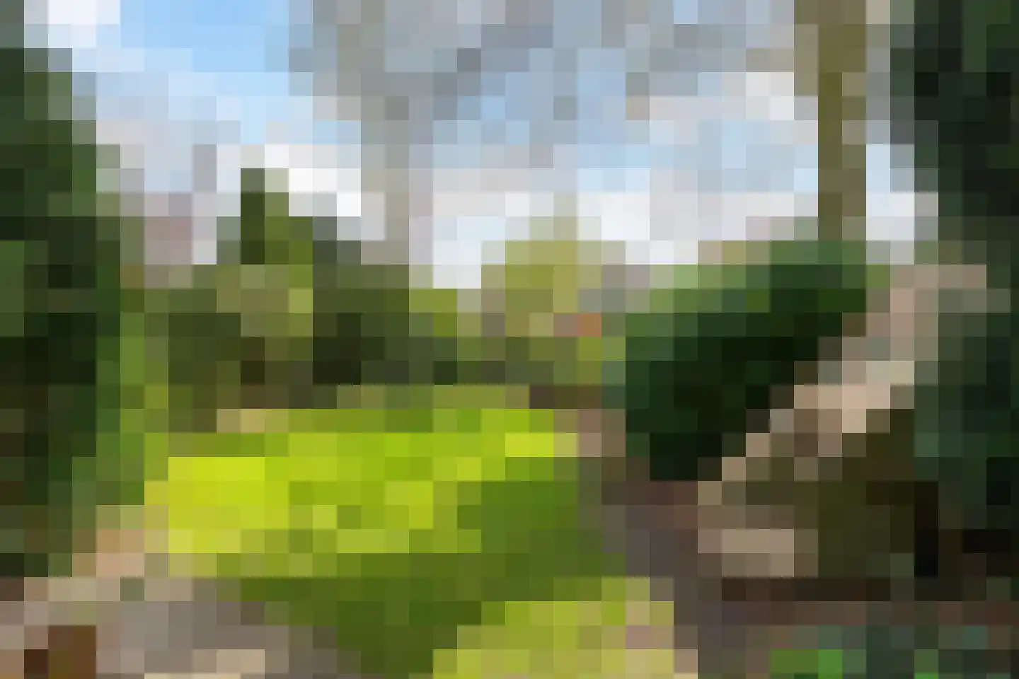 Ceintuurbaan 12 a Huizen thumbnail 51