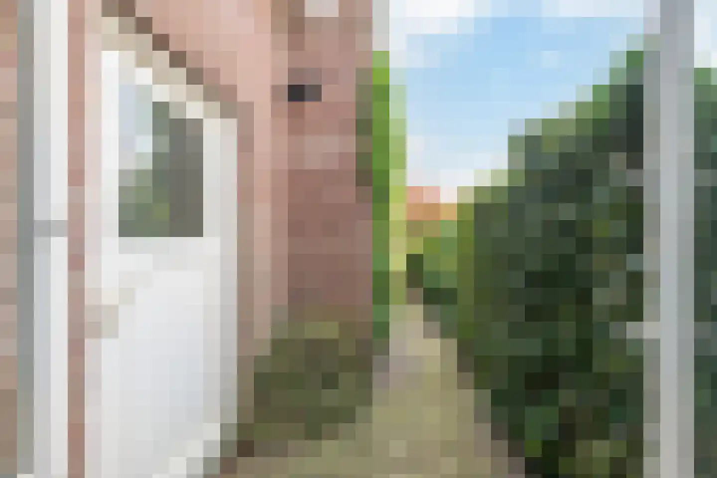 Ceintuurbaan 12 a Huizen thumbnail 52