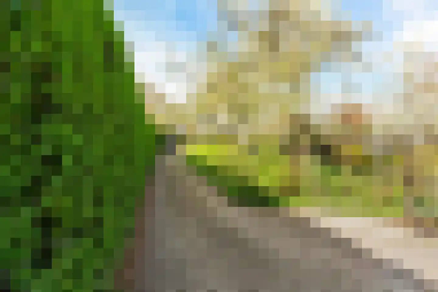 Ceintuurbaan 12 a Huizen thumbnail 54
