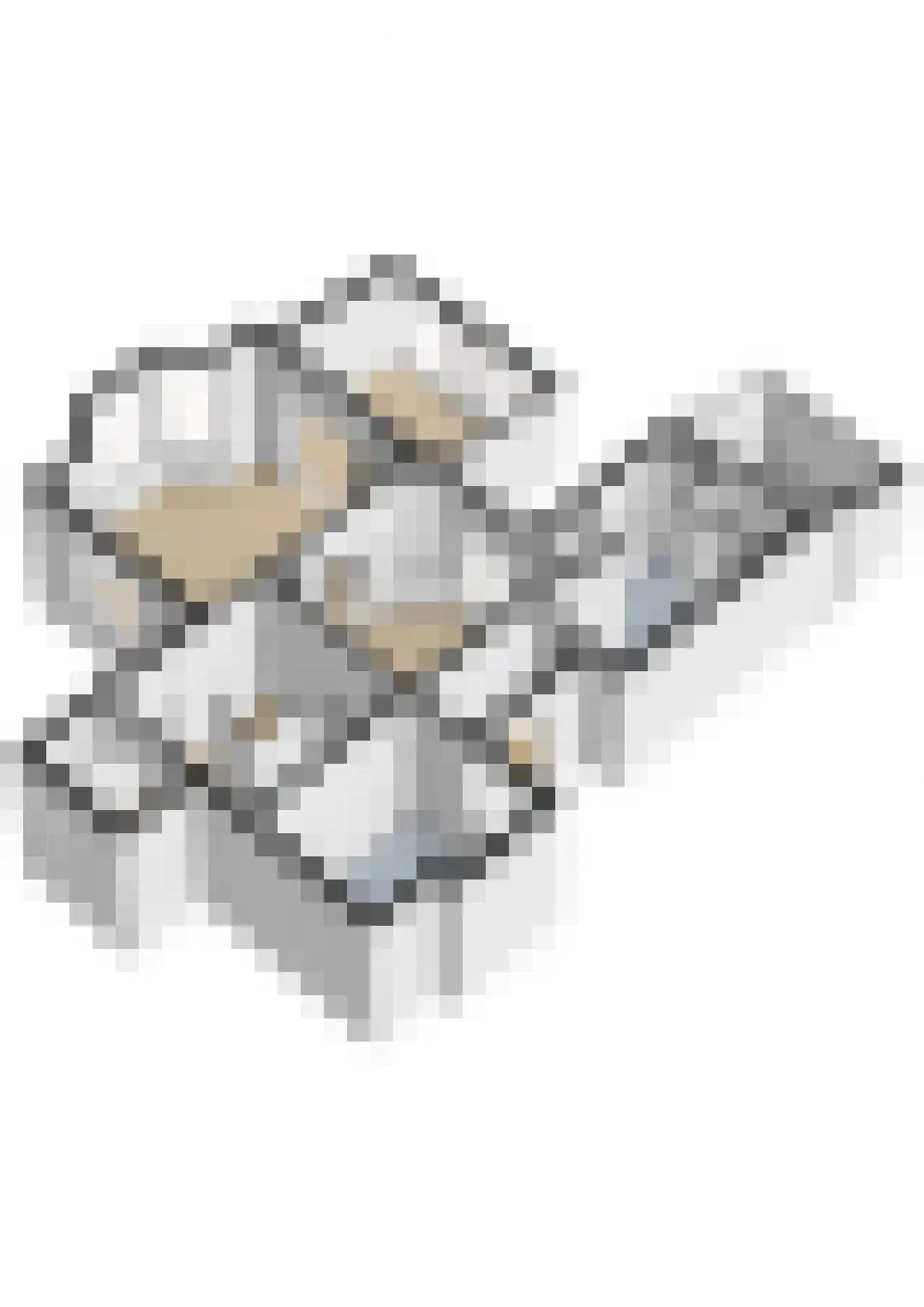Ceintuurbaan 12 a Huizen thumbnail 59