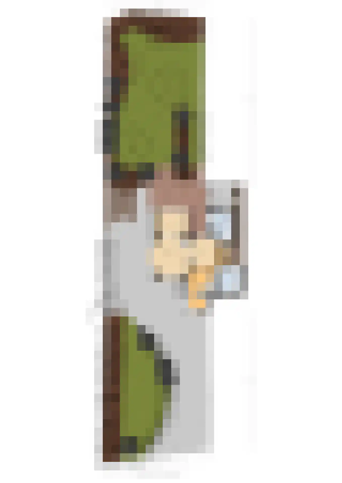 Ceintuurbaan 12 a Huizen thumbnail 66