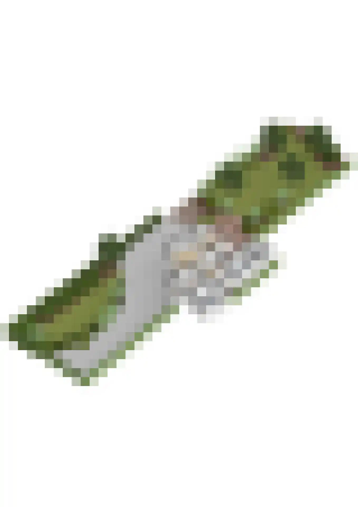 Ceintuurbaan 12 a Huizen thumbnail 67