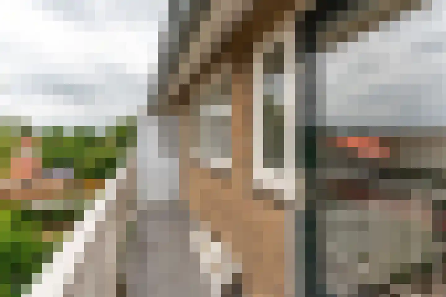 Ceintuurbaan 124 II Bussum thumbnail 15