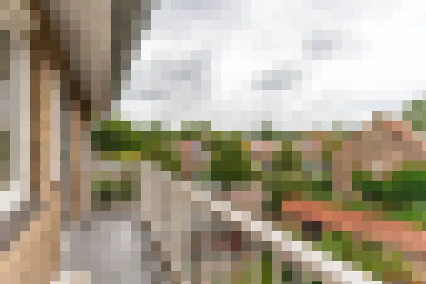 Ceintuurbaan 124 II Bussum thumbnail 16