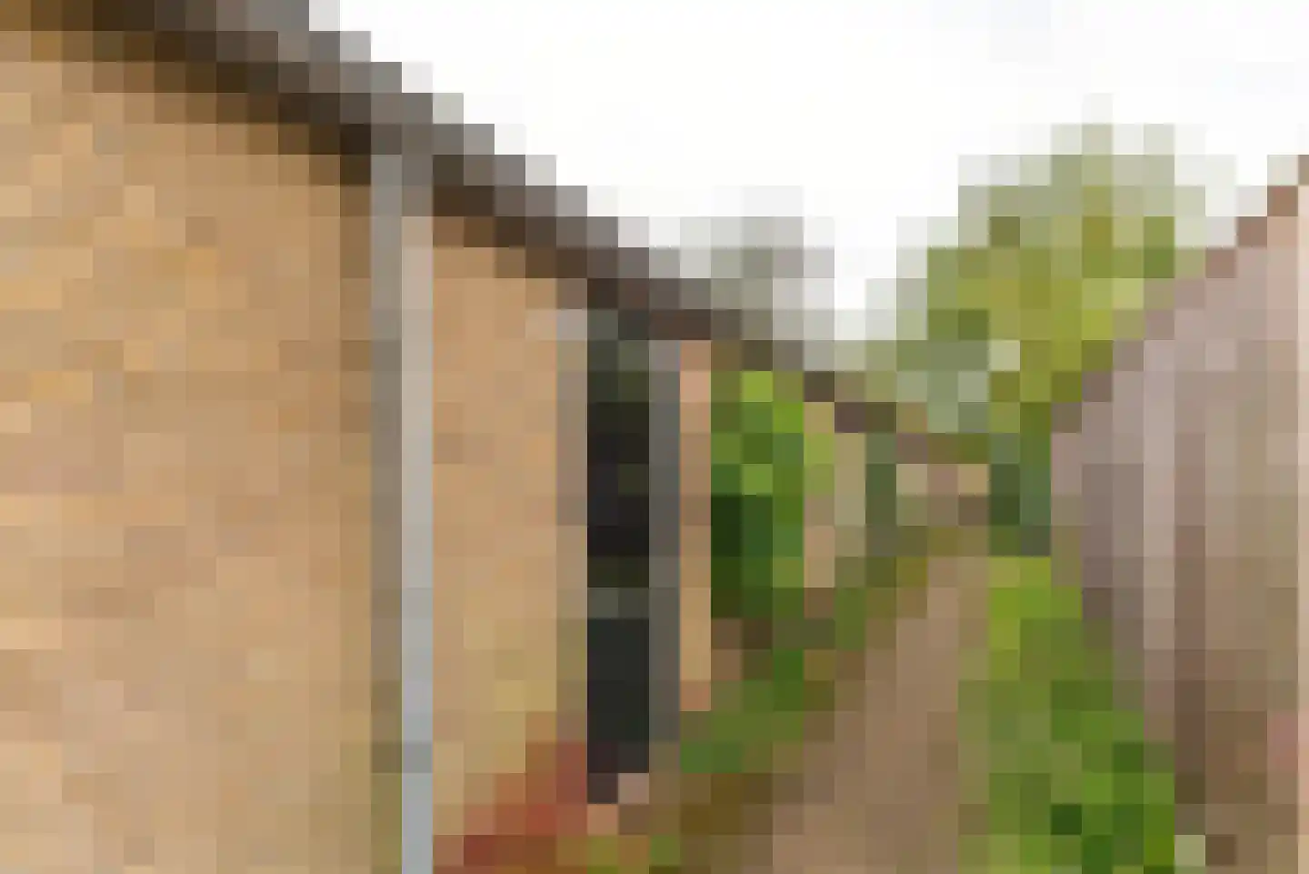 Ceintuurbaan 124 II Bussum thumbnail 24
