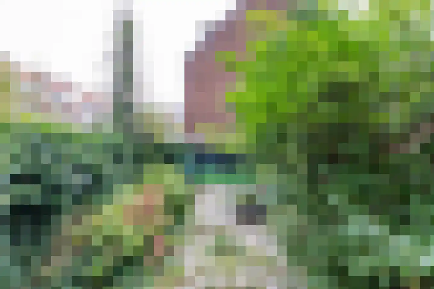 Ceintuurbaan 139 Rotterdam thumbnail 11