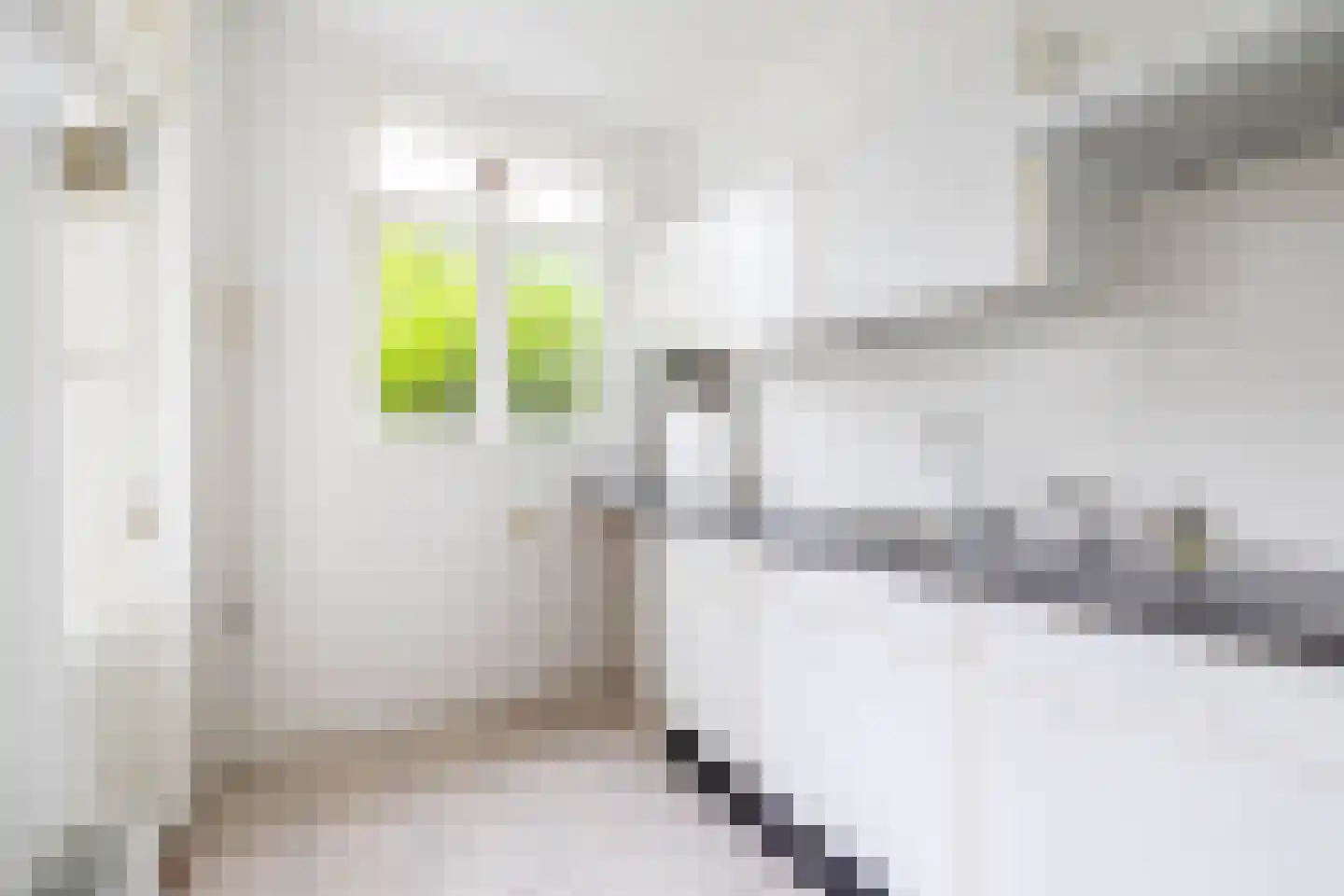 Ceintuurbaan 139 Rotterdam thumbnail 12