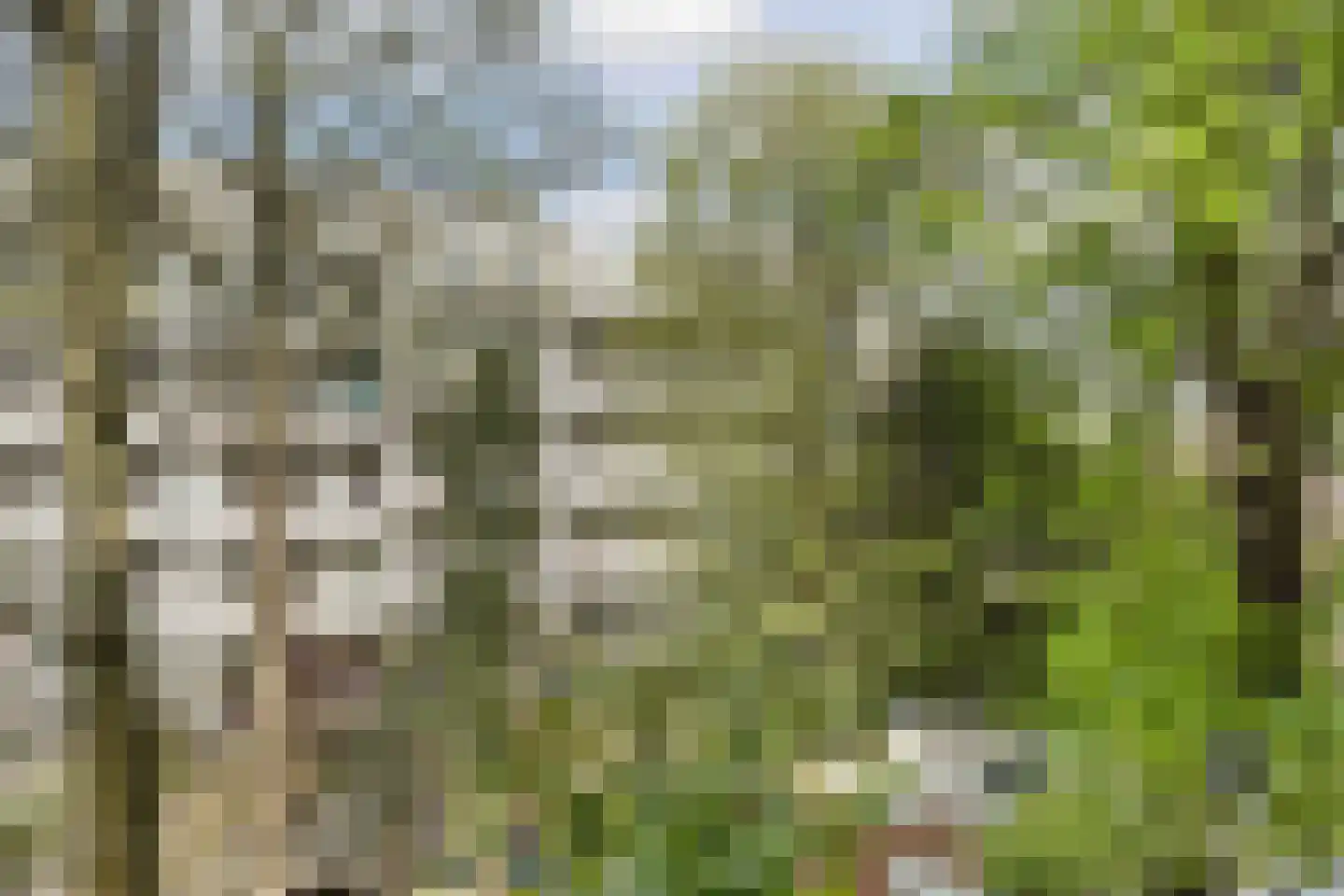 Ceintuurbaan 145 1 Amsterdam thumbnail 32
