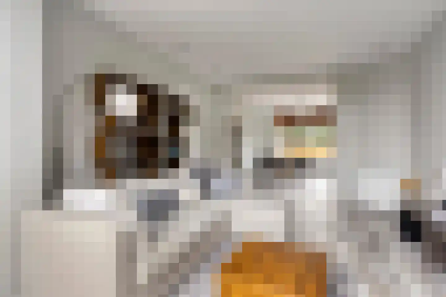 Ceintuurbaan 147 Rotterdam thumbnail 12