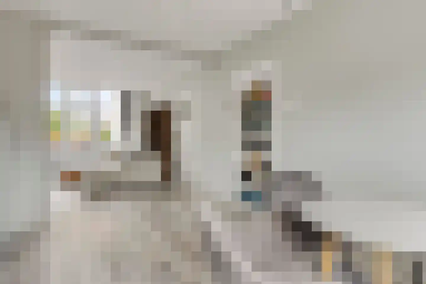 Ceintuurbaan 147 Rotterdam thumbnail 16