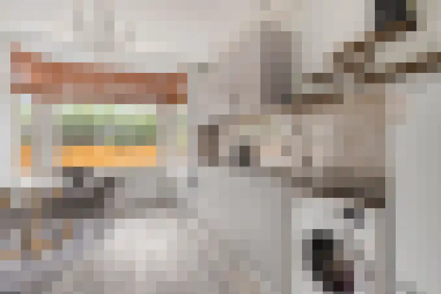 Ceintuurbaan 147 Rotterdam thumbnail 17